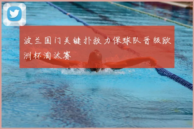 波兰国门关键扑救力保球队晋级欧洲杯淘汰赛